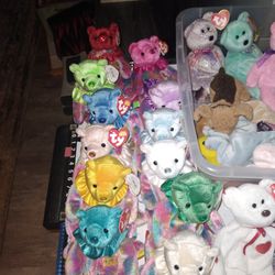 Ty Beanie Babies All 12 Birthday Month Collection 