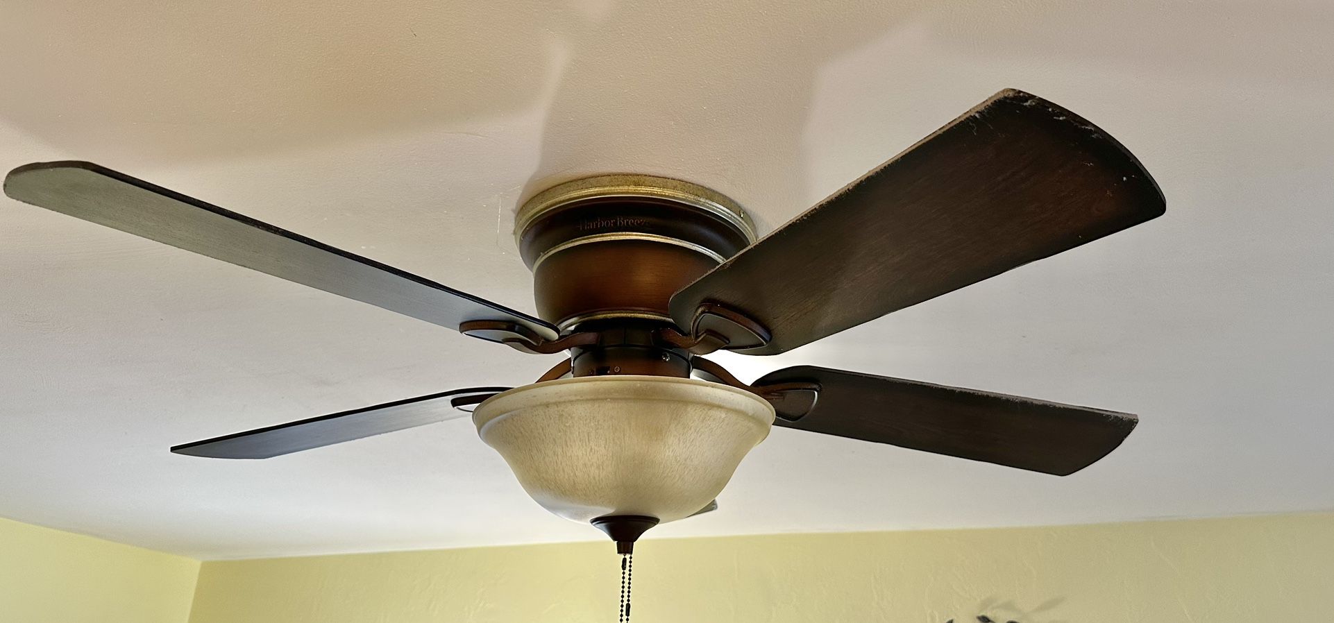 Ceiling Fan With Light