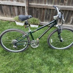 Specialized Mountain Bike