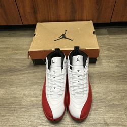 Air Jordan 12 Retro Size 13 White/Cherry CT8013-116