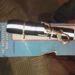 New Dog Leash Reflection At Night.