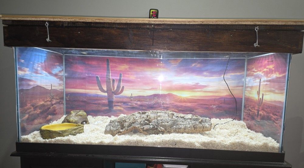 Reptile Enclosure With Supplies 