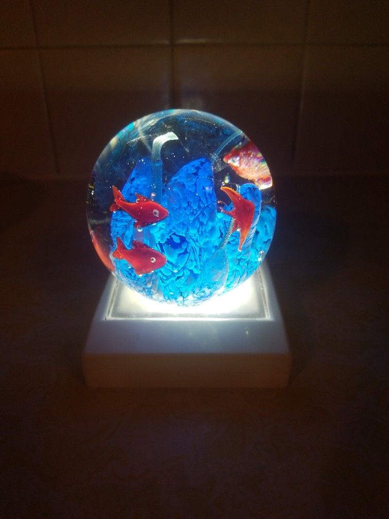 Stunning Paperweight with Fish