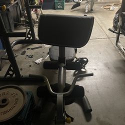 Golds Gym Bench Press 