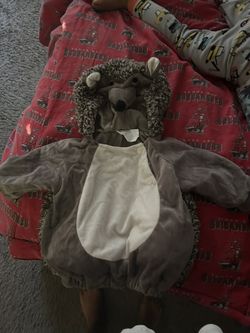 Baby Hedgehog Costume