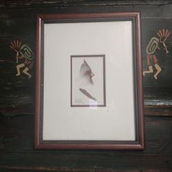 1ft tall diane f Bruce picture