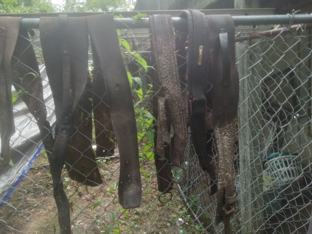 Vintage Leather Horse Straps