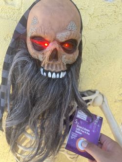 Posable Skeleton