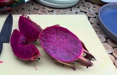 Cutting dragon fruit asunta 5 paco