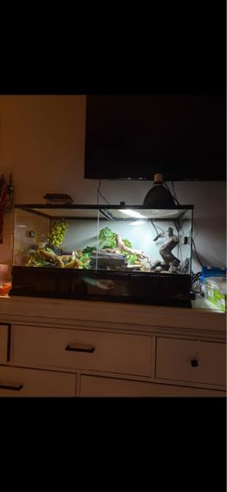 40 Gallon Reptile Terrarium – Front Opening – Zoo Med – Great Condition