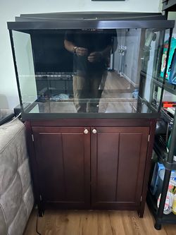 29 Gallon Aquarium Setup – Tank + Stand + Equipment 150