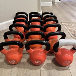 25 lb Kettlebells – Multiple Available (Bulk Discounts)