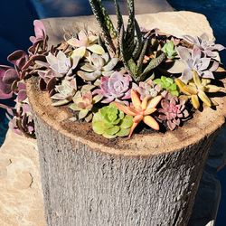 Mix color in DIY pot