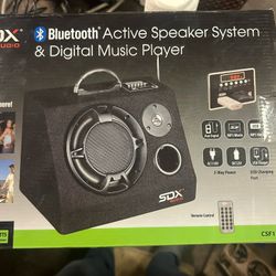 Bluetooth Speaker System