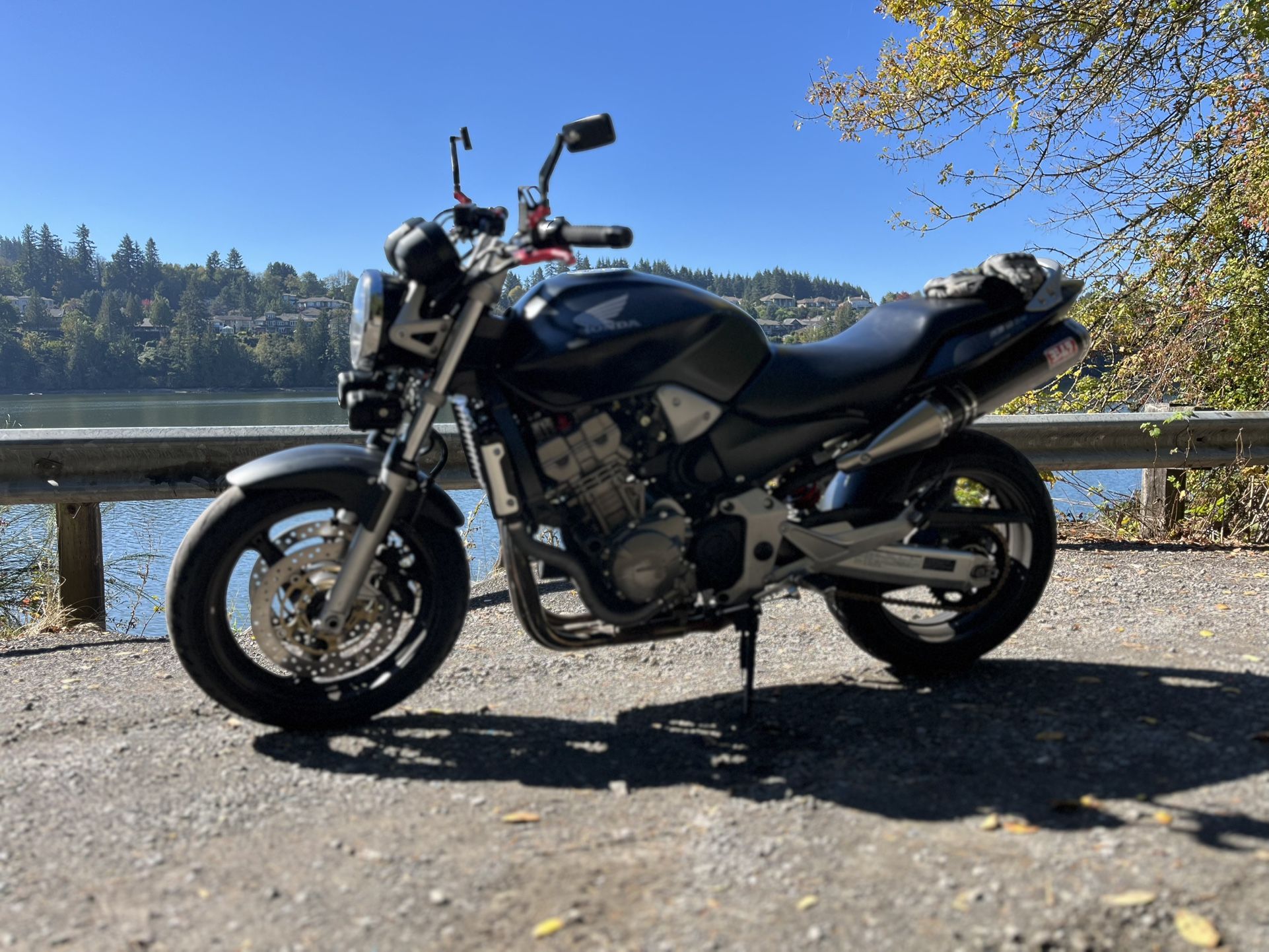 2003 Honda Hornet 919