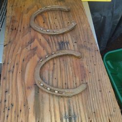 decoration horse long 21 high 11