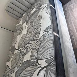 Queen Mattress only mattress
