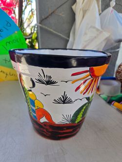 Bonita maceta (9×10) a solo $35)