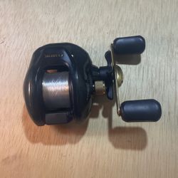 Baitcasting Reel