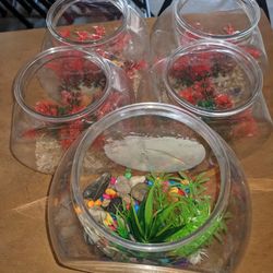 5 Plastic Fish Tanks