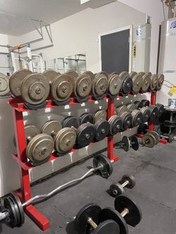 Dumbells And Rack