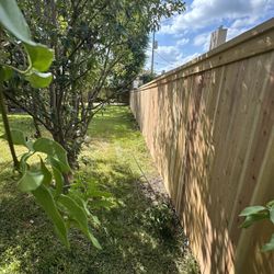 Fence 