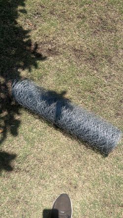 Chicken wire fence