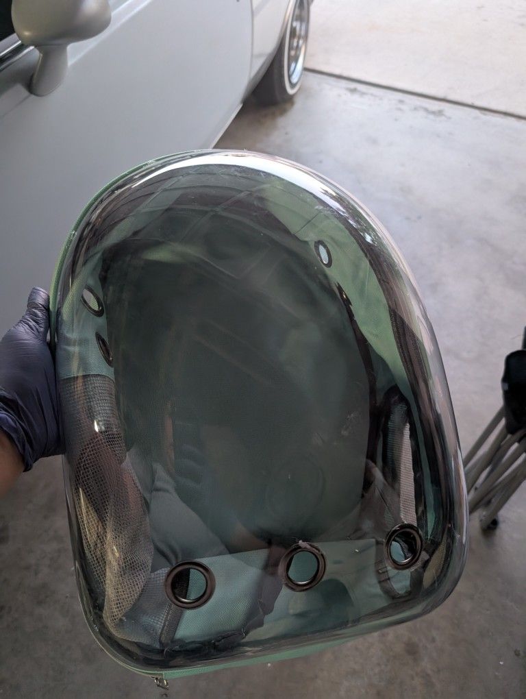 Cat Backpack 