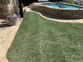 Sod  Grass 