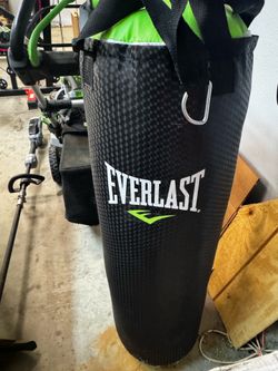 75 lb Everlast Heavy Bag