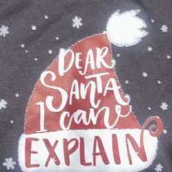 Hoodie That Says “Dear Santa, I Can Explain”