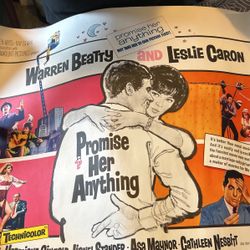 Promise Her Anything 