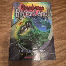 Two Goosebumps Paperback Novels Both For $8