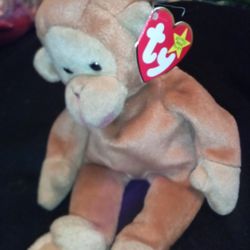 Beanie Babies Asking 20$ Each All Are In Mint Condition And Well Kept In Plastic 