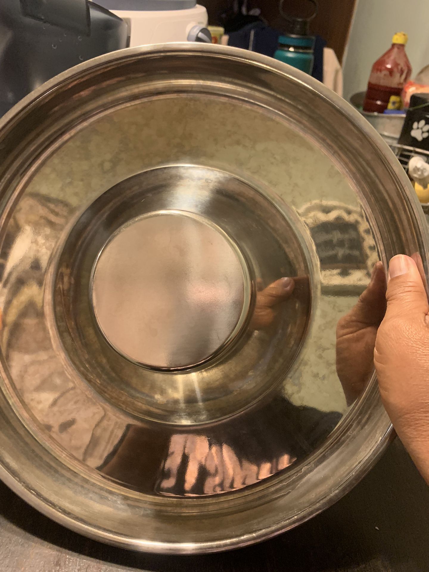 Dog Food Trays For Puppies Or Grown Dogs 
