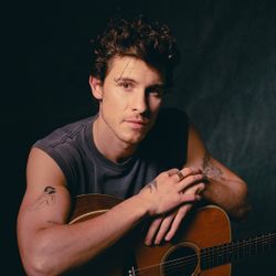 Shawn Mendes Hollywood Bowl 10-17
