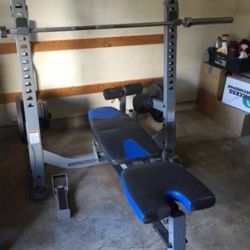 Professional Weight Bench With Weights 