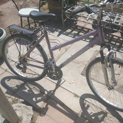 Diamondback Girls Bike