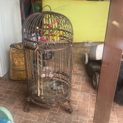 Bird Cage
