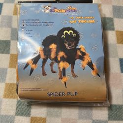 Spider Pup Size   Medium