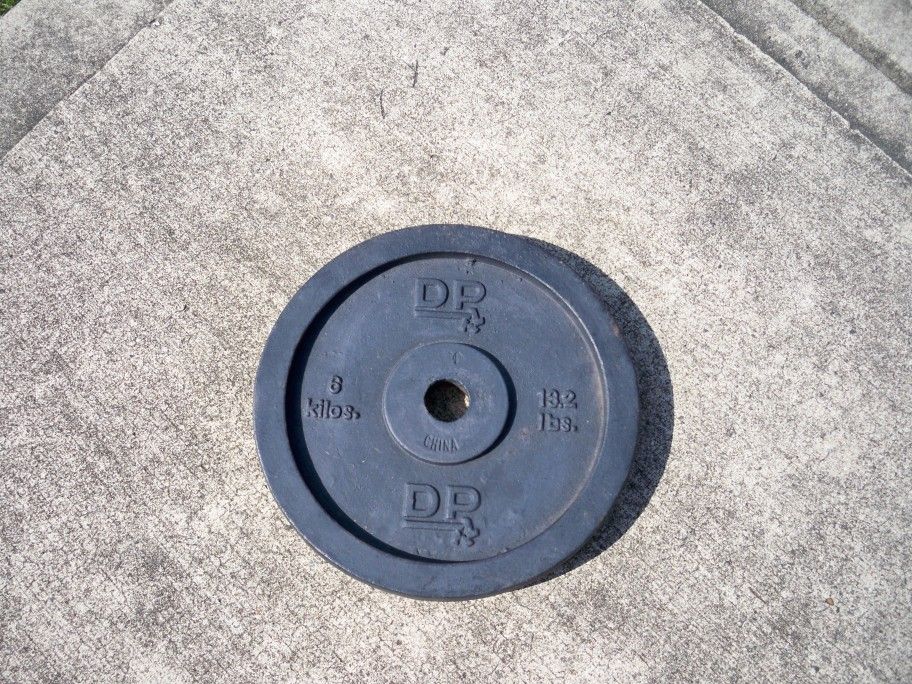 Standard Weight Plate - 13.2 Pounds - DP Company!!