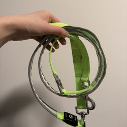 LED Dog Leash