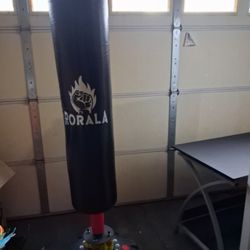 Boxing Bag And Gloves
