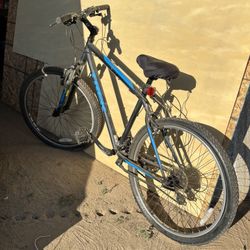 Mountain Bike
