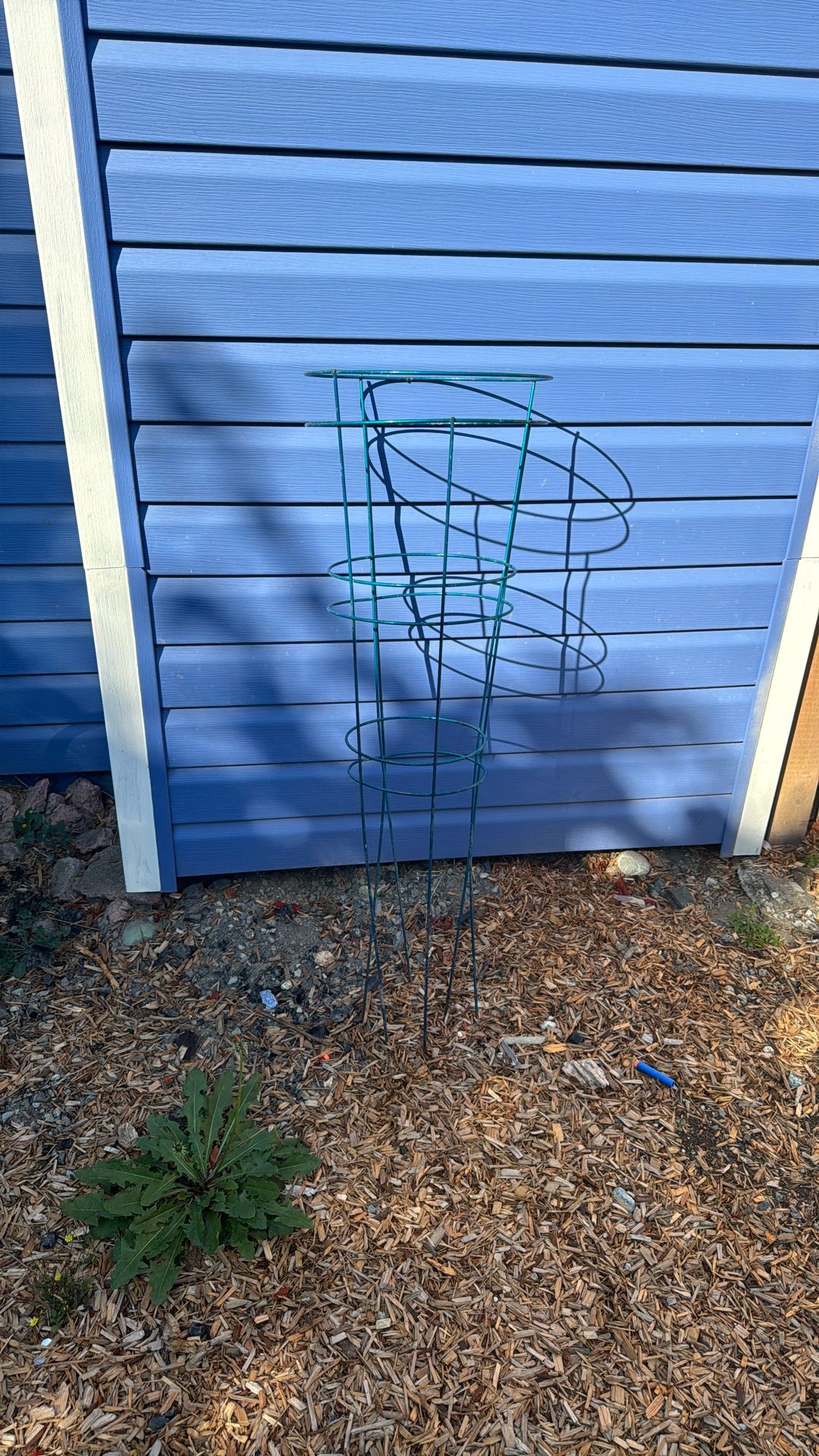 Tomato Cage (2)