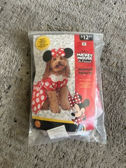 Dog costume