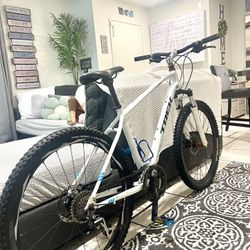 Trek Dual Sport Large/26”