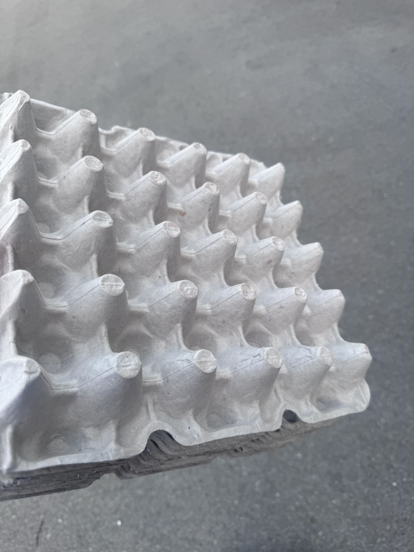 Egg Flat Cartons- Holds 20 Eggs
