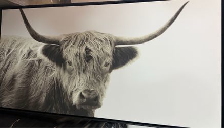 Framed Cow Canvas