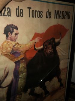Bullfighters